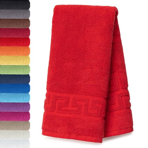 AR Line 2er Packung Duschvorleger Badvorleger Badematte 50 x 70 cm 100% Baumwolle 700 g/m², Farbe: Rot von AR Line