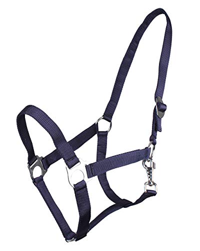 ARBO-INOX® Halfter mit Schiebeschnalle Stallhalfter Basic (Full, blau) von ARBO-INOX