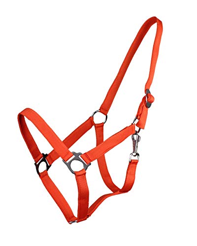 ARBO-INOX® Halfter mit Schiebeschnalle Stallhalfter Basic (Shetty, orange) von ARBO-INOX
