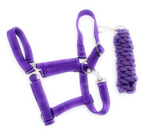 ARBO-INOX Halfter-Set Basic Halfter stufenlos verstellbar mit Führstrick (Cob Vollblut, Lila) von ARBO-INOX