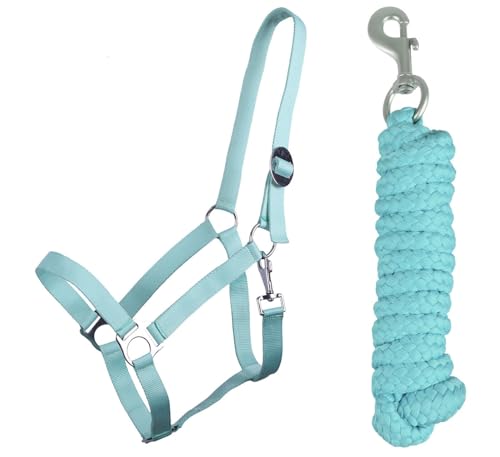 ARBO-INOX Halfter-Set Beginner - Halfter + Führstrick mit Karabinerhaken verstellbar (COB Warmblut,Ice Green) von ARBO-INOX