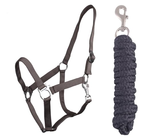 ARBO-INOX Halfter Set Beginner - Halfter + Führstrick mit Karabinerhaken verstellbar (Full Warmblut, Anthrazit) von ARBO-INOX