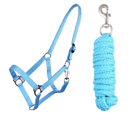 ARBO-INOX Halfter Set Beginner - Halfter + Führstrick mit Karabinerhaken verstellbar (Full Warmblut, Hellblau) von ARBO-INOX