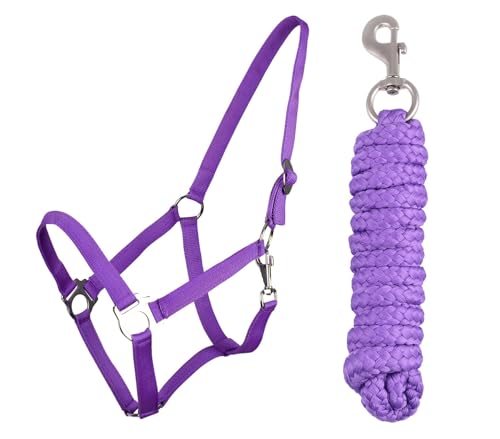 ARBO-INOX Halfter-Set Beginner - Halfter + Führstrick mit Karabinerhaken verstellbar (Full Warmblut, LILA) von ARBO-INOX