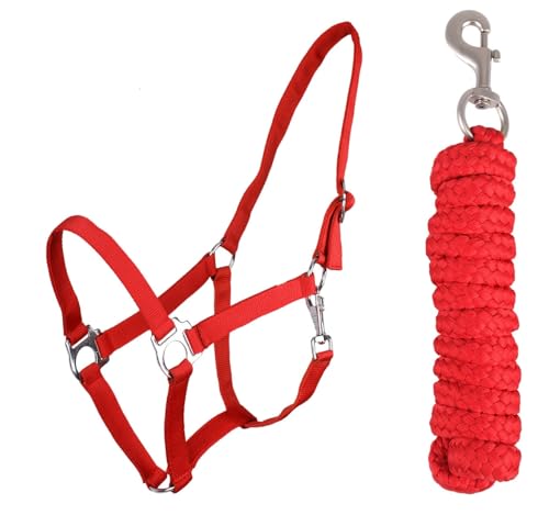 ARBO-INOX Halfter-Set Beginner - Halfter + Führstrick mit Karabinerhaken verstellbar (Pony, Rot) von ARBO-INOX