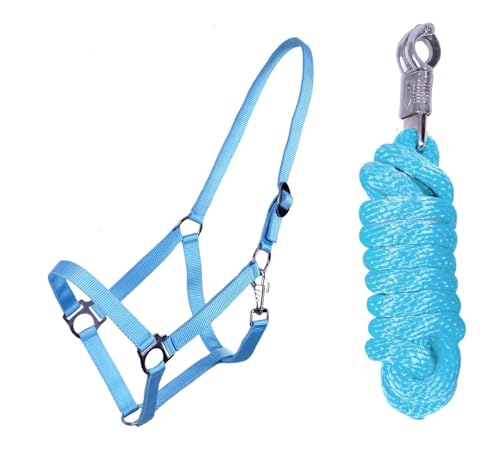 ARBO-INOX Halfter Set Beginner II Halfter + Führstrick mit Panikhaken verstellbar (Full Warmblut, Hellblau) von ARBO-INOX