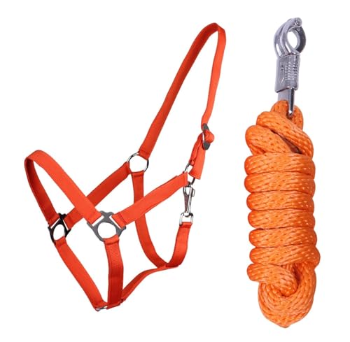 ARBO-INOX Halfter-Set Beginner II Halfter + Führstrick mit Panikhaken verstellbar (Shetty, Orange) von ARBO-INOX