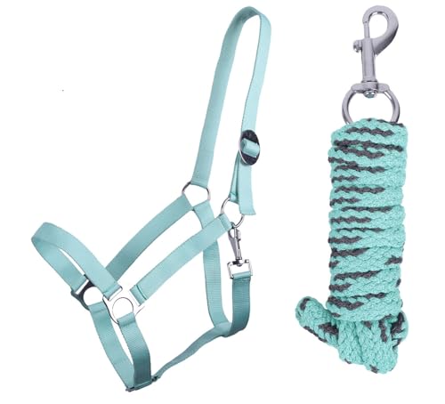 ARBO-INOX Halfter-Set Beginner de lux - Halfter + Führstrick - graue Akzente - verstellbar (COB Warmblut,Ice Green) von ARBO-INOX
