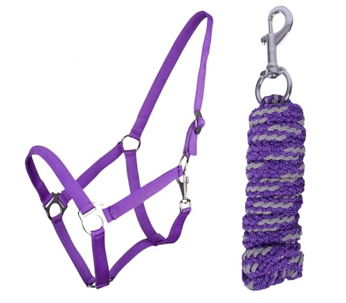 ARBO-INOX Halfter-Set Beginner de lux - Halfter + Führstrick - graue Akzente - verstellbar (Full Warmblut, LILA) von ARBO-INOX