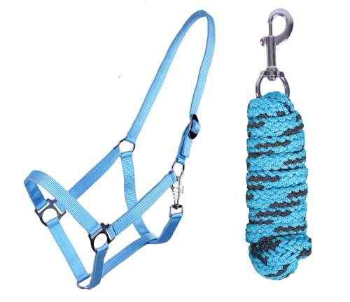 ARBO-INOX Halfter-Set Beginner de lux - Halfter + Führstrick - graue Akzente - verstellbar (Mini Shetty, Hellblau) von ARBO-INOX