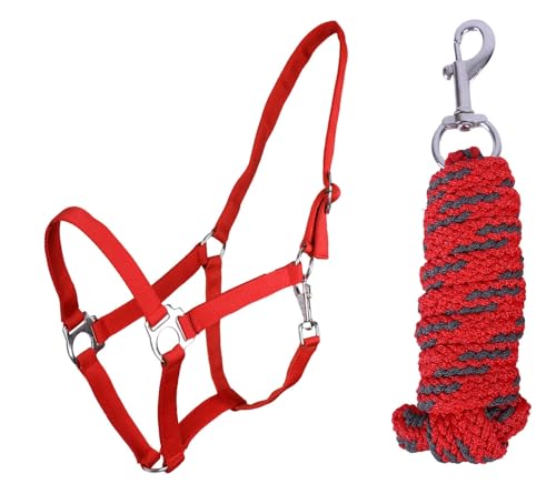 ARBO-INOX Halfter-Set Beginner de lux - Halfter + Führstrick - graue Akzente - verstellbar (Pony, Rot) von ARBO-INOX