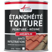 Arcane Industries - arcafilm - Etancheite toiture Anti infiltration Anti fissure Réparation Matériaux cassés Comme une peinture - Weiß - 0,75 l - Weiß von ARCANE INDUSTRIES