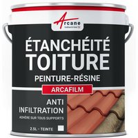 Arcane Industries - arcafilm - Etancheite toiture Anti infiltration Anti fissure Réparation Matériaux cassés Comme une peinture - Weiß - 2,5 l - Weiß von ARCANE INDUSTRIES