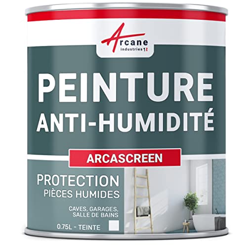 Feuchtigkeitsschutzfarbe für feuchte Wände in Badezimmern oder Kellern: ARCASCREEN - 0.75 L (bis zu 3m²) von ARCANE INDUSTRIES