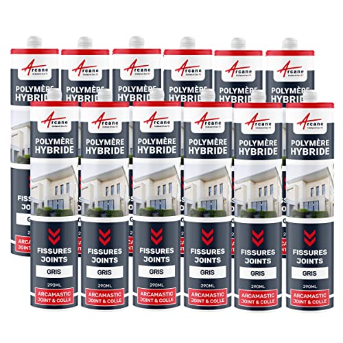 Hybrid-Polymer-Dichtstoff für Risse und Fugen: ARCAMASTIC FUGEN UND KLEBER Hellgrau - 290 ml x 12 von ARCANE INDUSTRIES