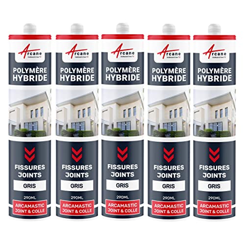Hybrid-Polymer-Dichtstoff für Risse und Fugen: ARCAMASTIC FUGEN UND KLEBER Hellgrau - 290 ml x 5 von ARCANE INDUSTRIES