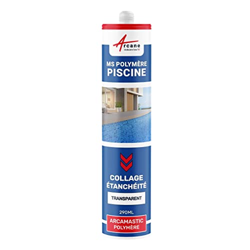 Polymer-Pool-Dichtungsmittel/Klebstoff: ARCAMASTIC POLYMER POOL Transparent - 290 ml x 1 von ARCANE INDUSTRIES