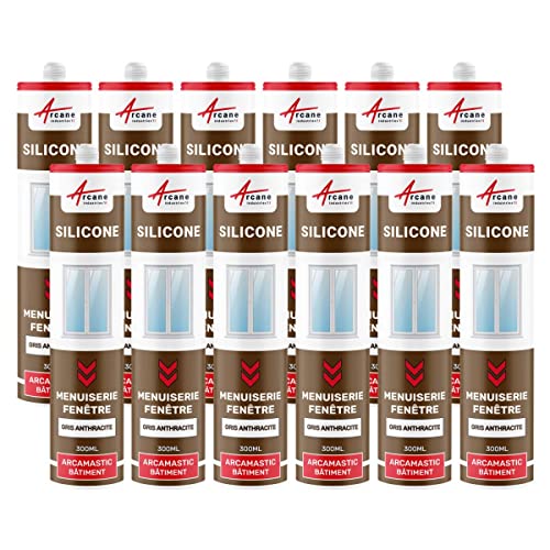 Silikondichtstoff für Fenster und Tischlerei: ARCAMASTIC BAUWESEN Anthrazitgrau - RAL 7016-300 ml x 12 von ARCANE INDUSTRIES