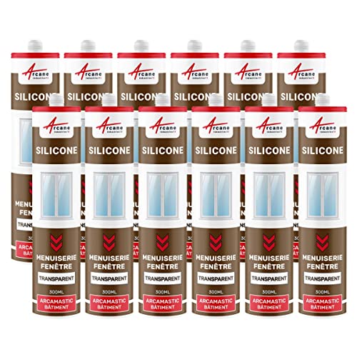 Silikondichtstoff für Fenster und Tischlerei: ARCAMASTIC BAUWESEN Transparent - 300 ml x 12 von ARCANE INDUSTRIES