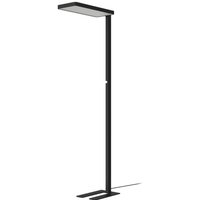 Gebraucht] Arcchio led Lampe Stehleuchte Timon schwarz 54W dimmbar Höhe 195 cm Leuchte Spot von ARCCHIO