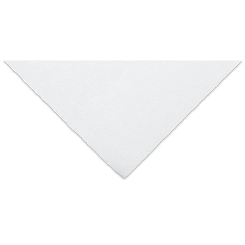 Paquete | Arches Aquarelle | Hoja 56x76 (5) 4B Arches Aquarelle 100% bis 640g Blanc Nat von ARCHES