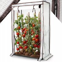 Gewächshaus Tomatengewächshaus 100cm Treibhaus Frühbeet Foliengewächshaus - Arebos Gewächshaus Tomatengewächshaus 100cm Treibhaus Frühbeet Foliengewächshaus - Arebos von AREBOS