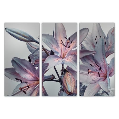 AREDE 3er Set Wandkunst Gemälde Bild Poster Lilium | 90 x 60 cm | Wandbilder Wanddekoration Home Office Wohnzimmer Schlafzimmer Dekoration | Fertig zum Aufhängen AREDE 3er Set Wandkunst Gemälde Bild Poster Lilium | 90 x 60 cm | Wandbilder Wanddekoration Home Office Wohnzimmer Schlafzimmer Dekoration | Fertig zum Aufhängen von AREDE