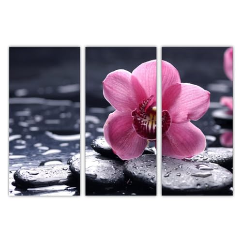 AREDE 3er Set Wandkunst Gemälde Bild Poster Rosa Orchidee auf schwarzen Steinen | 90 x 60 cm | Wandbilder Wanddekoration Home Office Wohnzimmer Schlafzimmer Dekoration | Fertig zum Aufhängen AREDE 3er Set Wandkunst Gemälde Bild Poster Rosa Orchidee auf schwarzen Steinen | 90 x 60 cm | Wandbilder Wanddekoration Home Office Wohnzimmer Schlafzimmer Dekoration | Fertig zum Aufhängen von AREDE