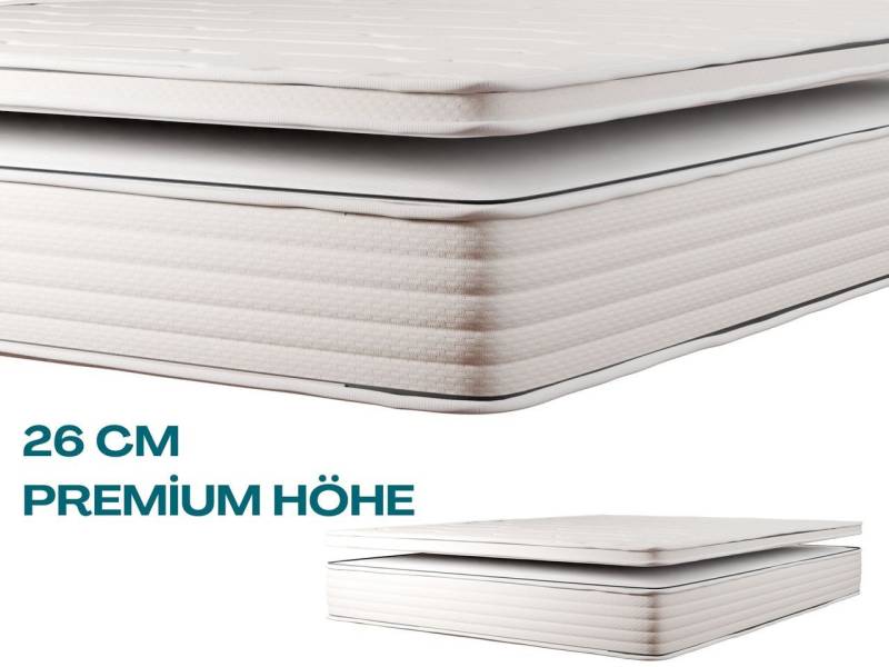 Taschenfederkernmatratze AH26 Norm Fleks, 7-Zonen Boxspring-Matratze mit abnehmbarem Topper, ARGAHOME, 26 cm hoch Taschenfederkernmatratze AH26 Norm Fleks, 7-Zonen Boxspring-Matratze mit abnehmbarem Topper, ARGAHOME, 26 cm hoch von ARGAHOME