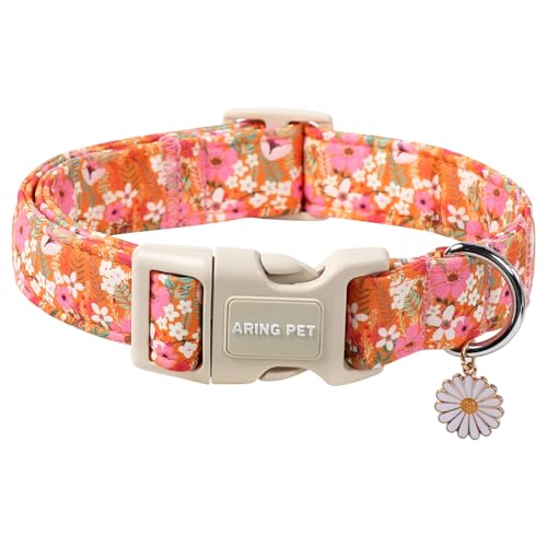 ARING PET Herbst-Hundehalsband, Gänseblümchen, Blumenblüte, Haustierhalsband für kleine, mittelgroße und große Mädchen, Jungen, Welpen, Halsband mit Schnellverschluss-Schnalle, Größe XL von ARING PET