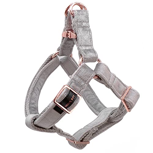 ARING PET Hundehalfter Geschirr, Samt Hundegeschirr, Verstellbares Hundehalfter Geschirr für Kleine Mittlere Große Hunde ARING PET Hundehalfter Geschirr, Samt Hundegeschirr, Verstellbares Hundehalfter Geschirr für Kleine Mittlere Große Hunde von ARING PET
