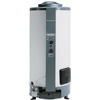 Ariston Group - nhrex 26 Gasbetriebener bodenstehender Speicher-Wassererwärmer Kamin G20/G31 - 250 l - ariston - 3086104 von ARISTON GROUP