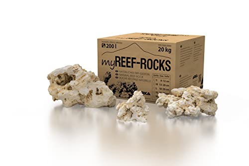 ARKA myREEF-Rocks - 13-20 cm / 20 kg - Natürliches Riffgestein für authentische Aufbauten in Meerwasseraquarien, schadstofffrei, ideale Siedlungsfläche für Bakterien. von ARKA