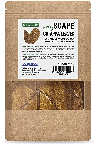 ARKA mySCAPE-CATAPPA Leaves - 20-27 cm / 10 Stück - Natürlicher Wasseraufbereiter aus Seemandelbaumblättern für Süßwasseraquarien, verbessert Gesundheit von Fischen & Garnelen von ARKA
