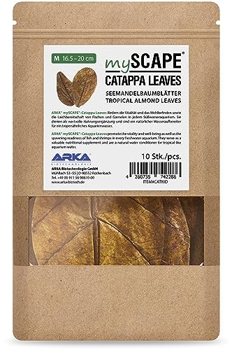 ARKA mySCAPE-CATAPPA Leaves - 16-20 cm / 10 Stück - Natürlicher Wasseraufbereiter aus Seemandelbaumblättern für Süßwasseraquarien, verbessert Gesundheit von Fischen & Garnelen ARKA mySCAPE-CATAPPA Leaves - 16-20 cm / 10 Stück - Natürlicher Wasseraufbereiter aus Seemandelbaumblättern für Süßwasseraquarien, verbessert Gesundheit von Fischen & Garnelen von ARKA