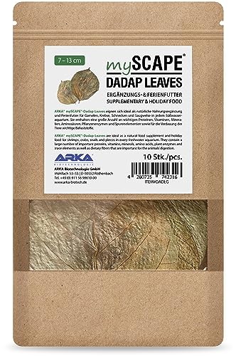 ARKA mySCAPE-DADAP Leaves - 7-13 cm / 10 Stück - Natürliches Ferienfutter für Garnelen, Schnecken & Saugwelse, fördert Gesundheit in Süßwasseraquarien. von ARKA