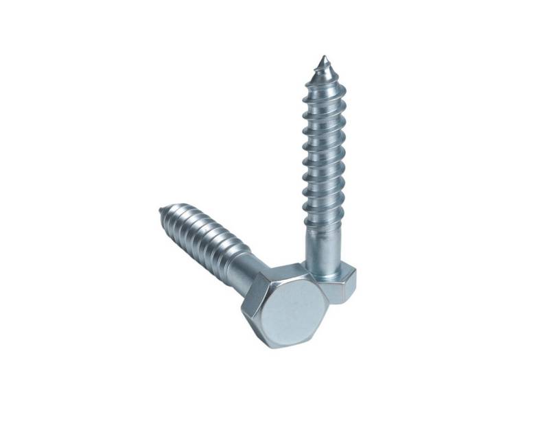 ARLI Schraube 100x Sechskantschraube 10 x 80 mm Stahl verzinkt DIN 571 - 100 Stück, DIN571 Sechkant Schraube 10x80 mm Set / 6-kant Schrauben von ARLI