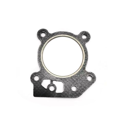 [Auto and Motorcycle Parts] Zylinderkopfdichtung 799586 Passend for Briggs Stratton 500E 550E 450E (Color : 2pcs) von ARLOR
