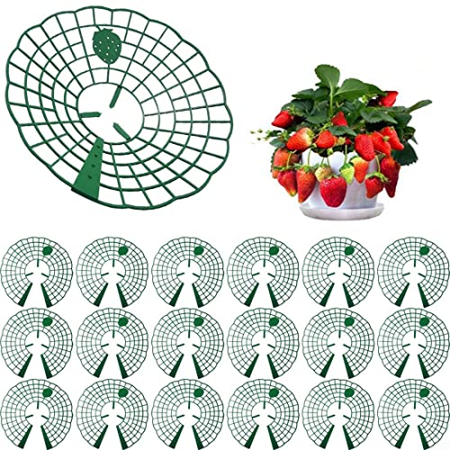 ARMYJY 20 Stück Erdbeer-Stützen, Erdbeer-Pflanzenständer mit 3 Beinen, Erdbeer-Anzucht-Regal, Schutz, Erdbeer-Anbaurahmen von ARMYJY