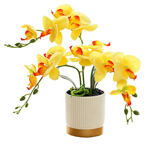 ARMYJY Künstliche Phalaenopsis-Blumen, 33 cm, künstliche Orchidee, Bonsai im Topf, künstliche Blumen für Tisch, Wohnzimmer, Heimdekoration, Gelb von ARMYJY