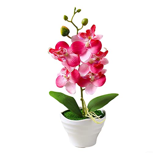 ARMYJY Orchideen-Pflanze, künstliche Orchidee, künstliche Blumen, rote Phalaenopsis im Topf, künstliche Blume im Topf für Zuhause, Hochzeit, Party, Dekoration von ARMYJY