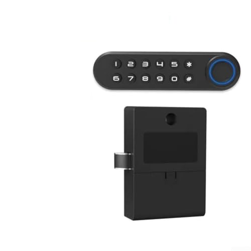 Elektronisches Schloss mit biometrischem Fingerabdruck für sicheren Hauseingang mit Fernbedienung (horizontaler Stil B) von ARMYJY