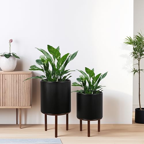 ARNIS Pflanzkübel mit Ständer, 2er Set Blumentopf mit Holz Pflanzgefäßständer, Moderne Dekorative Metall Übertöpfe für Wohnzimmer, Büro, Garten oder Balkon, 27,3 cm und 32,4 cm, Mattschwarz ARNIS Pflanzkübel mit Ständer, 2er Set Blumentopf mit Holz Pflanzgefäßständer, Moderne Dekorative Metall Übertöpfe für Wohnzimmer, Büro, Garten oder Balkon, 27,3 cm und 32,4 cm, Mattschwarz von ARNIS