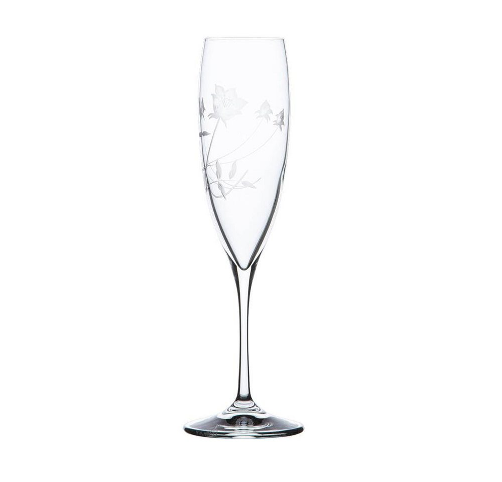 ARNSTADT KRISTALL Champagnerglas Sektglas Champagneglas Liane clear (23,8 cm) - Kristallglas mundgeblas von ARNSTADT KRISTALL