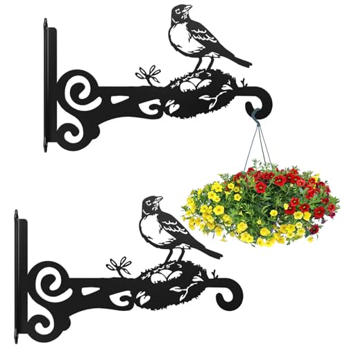 AROMUJOY 2 Stück Wandhaken für Blumenampel, Pflanzenhalterung Blumenampelhalter Eisen, 25cm Blumenampel Vogelhäuschen Wandhalter Haken zum Aufhängen von Pflanzer Laterne Windspiele Wandleuchter von AROMUJOY