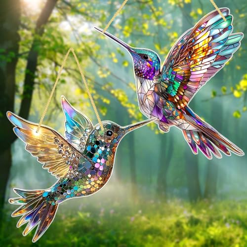 ARONRAVE Kolibri-Sonnenfänger, 2 Stück Kolibri Sonnenfänger Fensterdeko Hängend Kolibri Suncatcher Kolibri SonnenfäNger Acryl Sonnenfänger zum Aufhängen Gartendeko für Vogelliebhaber von ARONRAVE