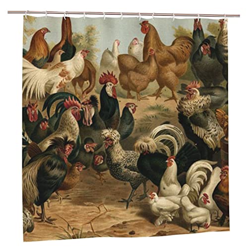 AROONS Duschvorhang-Set mit Huhn und Hahn, bedruckt, mit 12 Haken, blickdicht, schnelltrocknend, wasserdicht, für Badezimmer, 183 x 183 cm von AROONS