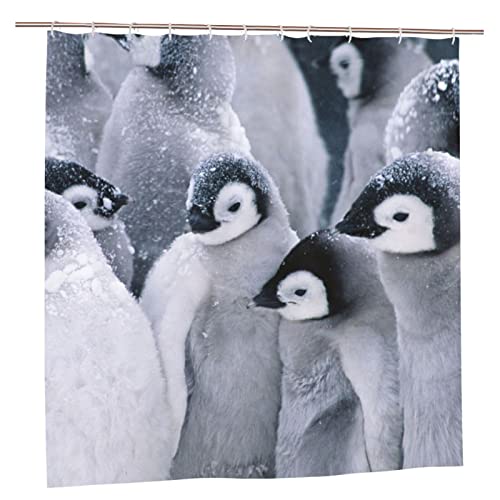 AROONS Niedlicher Pinguin-Duschvorhang mit 12 Haken, blickdicht, schnell trocknend, wasserdicht, Duschvorhang-Set für Badezimmer, 183 x 183 cm von AROONS