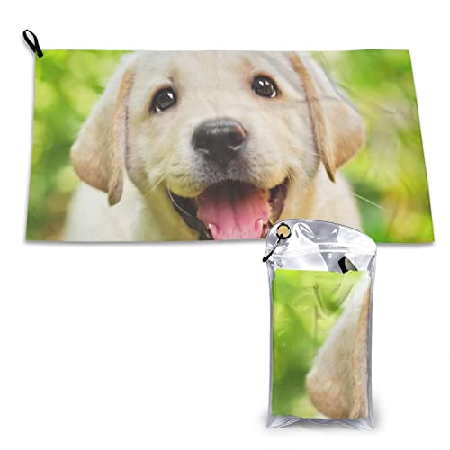 AROONS Schnell trocknendes Handtuch mit Tasche – lustiger Labrador-Welpen, Hund, bedruckt, super saugfähig, Mikrofaser, Reise-Sport-Handtücher, 80 x 40 cm von AROONS