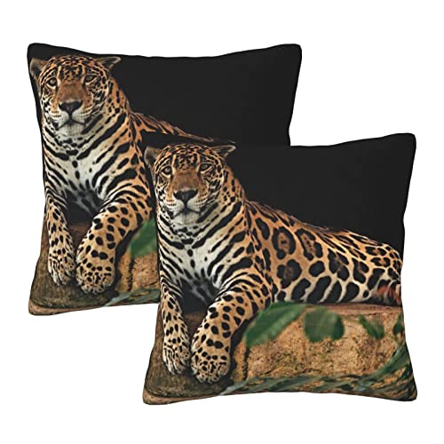 Afrikanische Wildtiere Leopard auf Felsen Plus Kissenbezüge, 2 Stück, quadratische Kissenbezüge, superweicher Kissenschutz mit Reißverschluss für Couch, Wohnzimmer, Sofa, Bett, Büro, Auto, 50 x 50 cm von AROONS